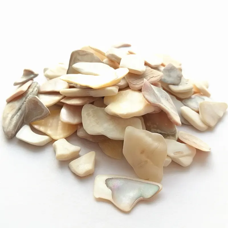 Natural Crushed Mother Of Pearl Shell Gravel Chips For Terrazzo Flooring