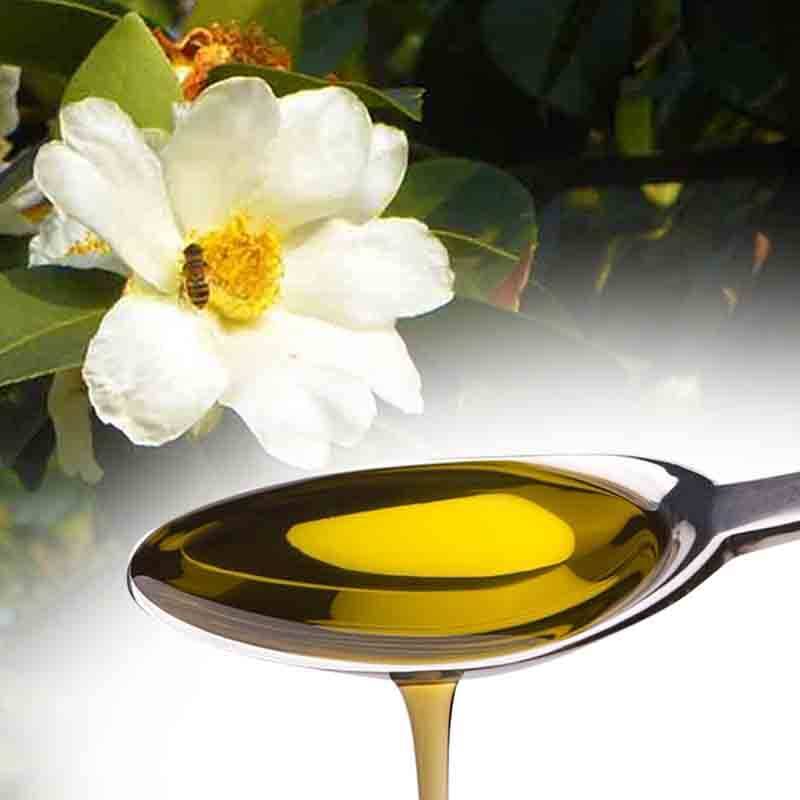 Camellia Oil Bulk Price Wholesale Cosmetic Grade 100% Pure Natural Oil As a Skin Whitening Agent