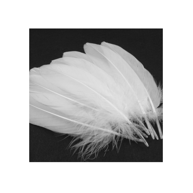 Manufacturers direct three - level curved white goose feather