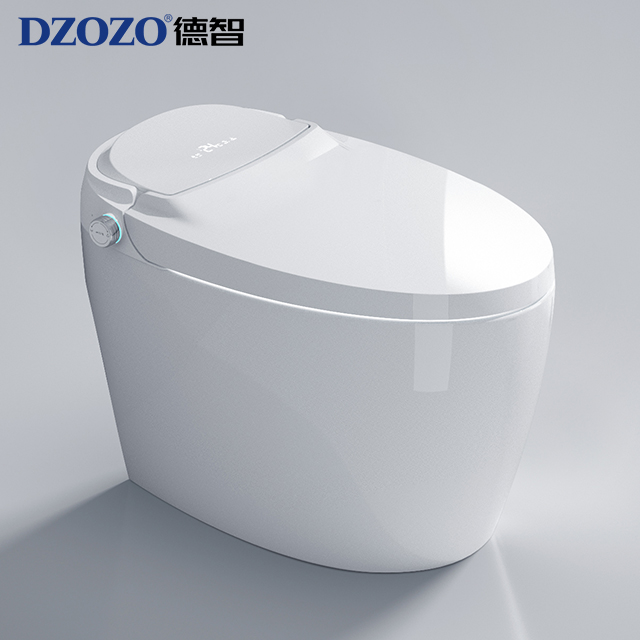 european 110V/220V modern night light bathroom equipment bidet toilets built-in tank intelligent toilet