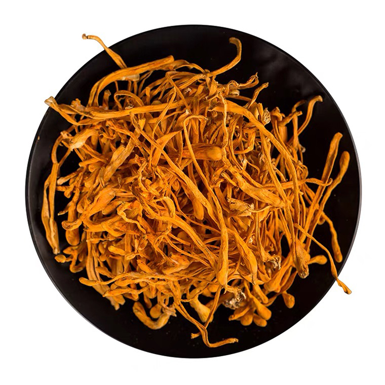 Organic Dried Cordyceps Militaries Best Quality Natural Edible Dried Fungus Cordyceps Militaris