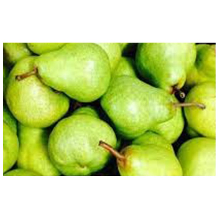 Южная Африка, супер качество, свежие PACKHAM TRIUMPH PEARS, оптовая продажа