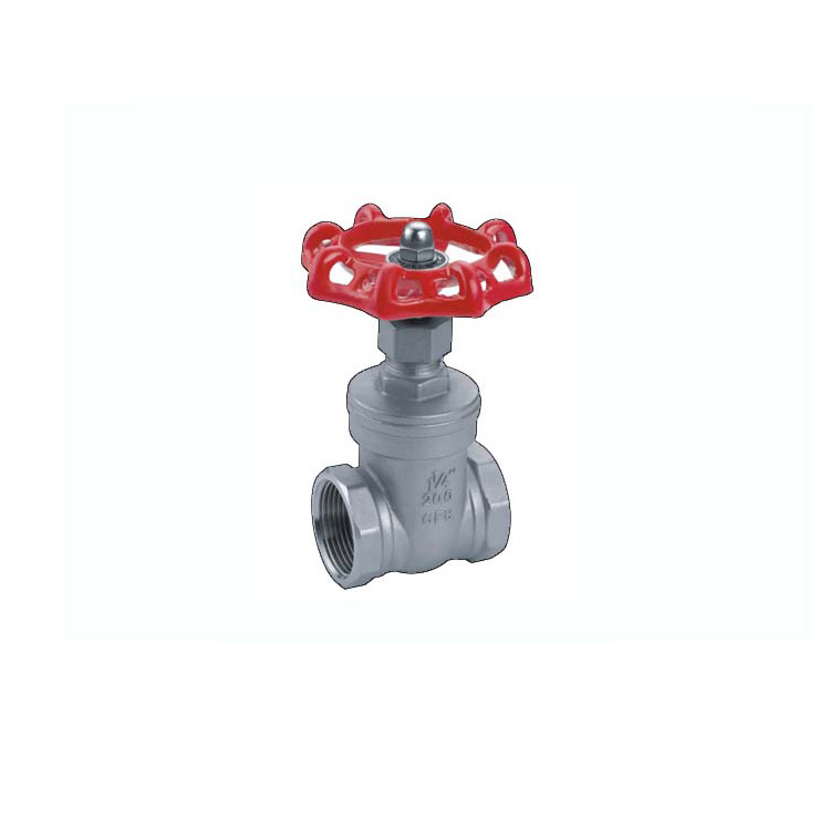 Винтовой затвор из нержавеющей стали SS304 SS316 PN25 PN16 BSP NPT