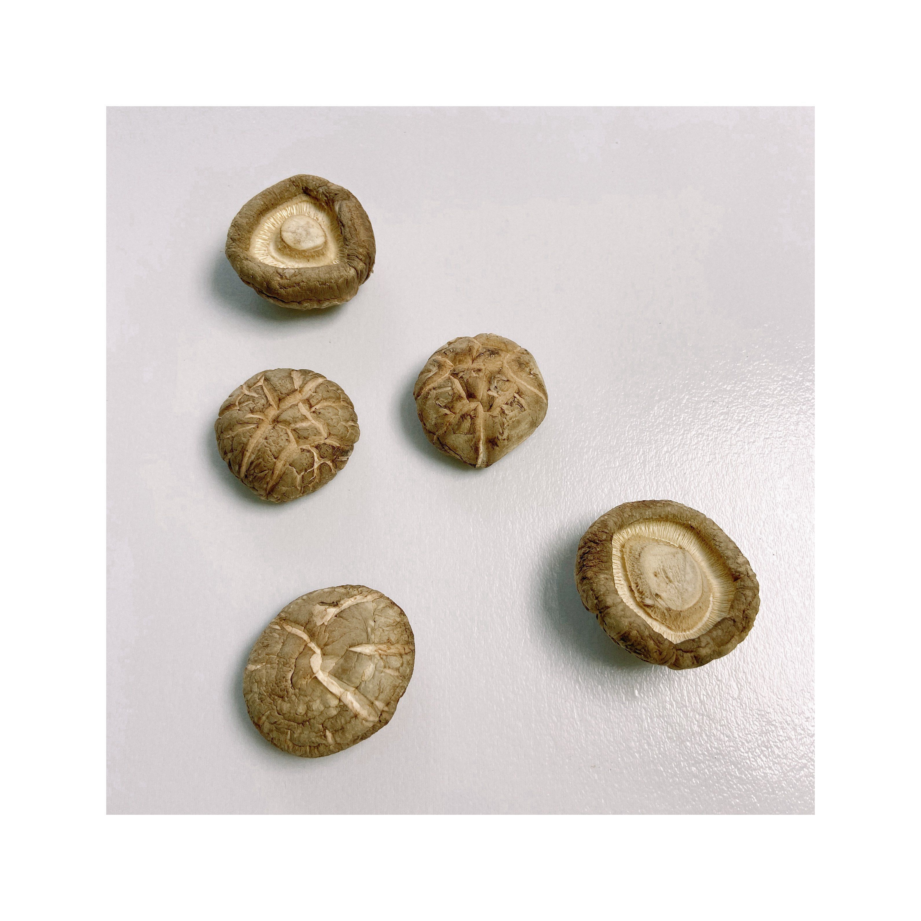 China Nutrition And Health Tawny With Seashell Cracks Shiitake Mushroom Dried