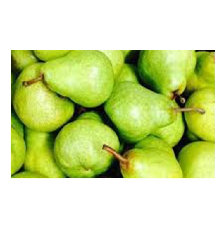 Южная Африка, супер качество, свежие PACKHAM TRIUMPH PEARS, оптовая продажа