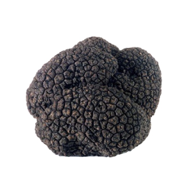 Detan  Best selling Black Truffles From China yunnan truffle with best quality