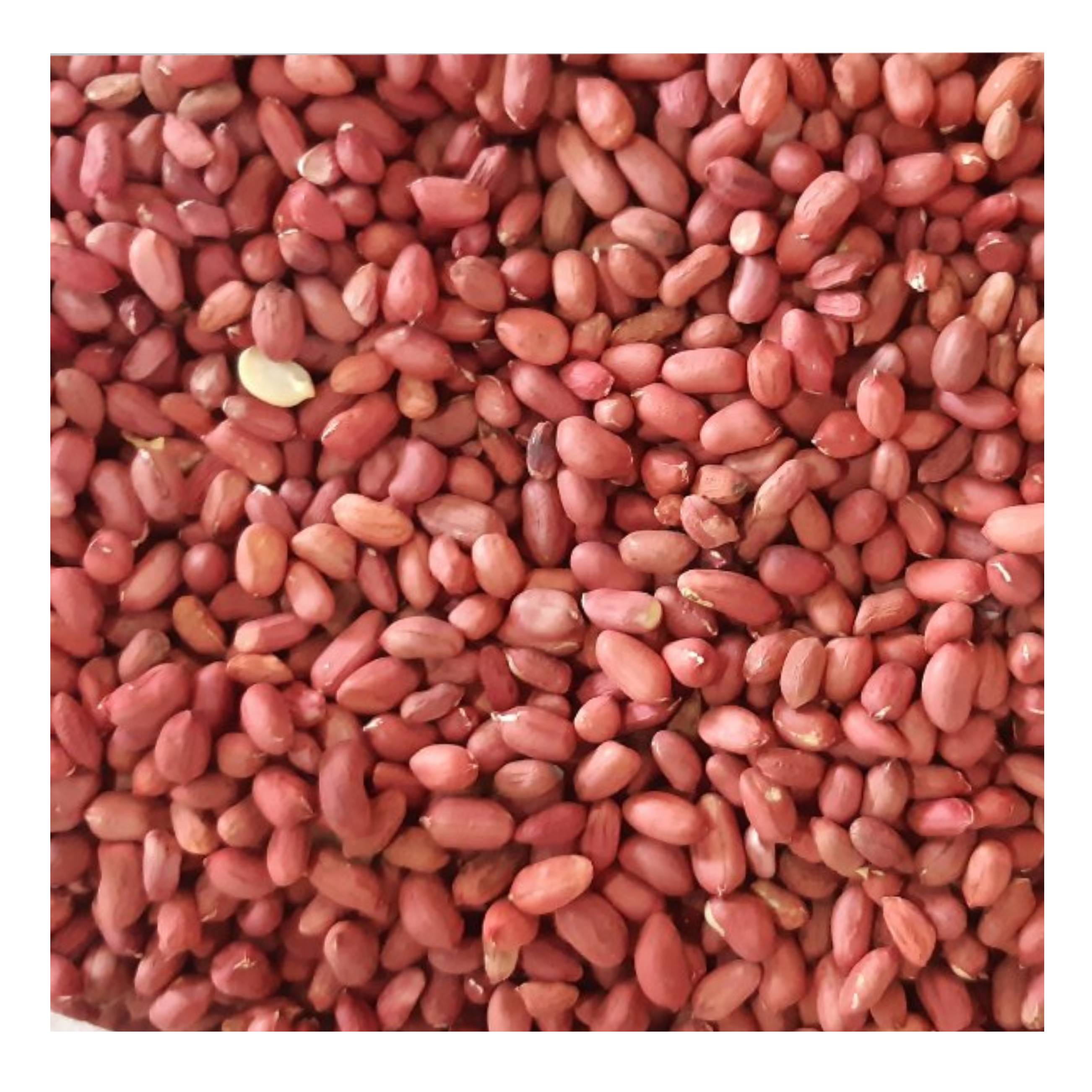 High grade raw red skin peanut seeds in bulk form Uzbekistan manufacturer wholesale price for export