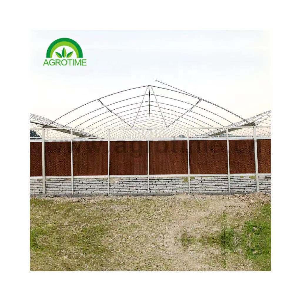 Chinese project hot sale commercial agriculture multi span hydroponic greenhouse glass green house for vegetables