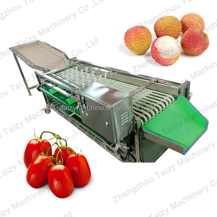 Onion Grading Machine Tomatoes Sorting Machine Fresh Blueberry Grading Date Sorting Machine