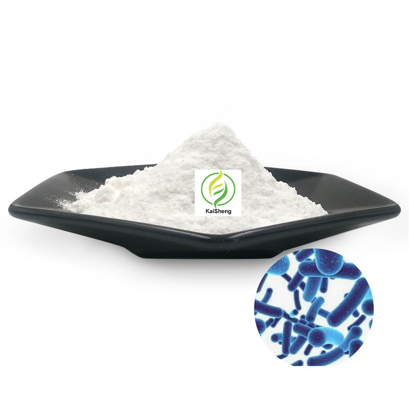 Оптовая продажа, пищевой порошок, фермент, напиток, Lactobacillus Plantarum