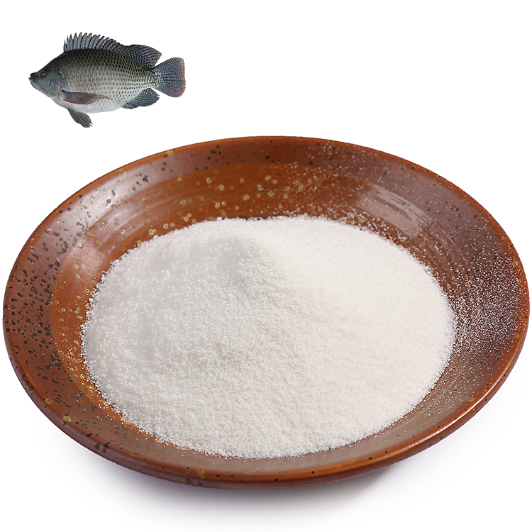 High Quality Animal Water Soluble Health Supplement Important Protein Collagen Peptide Powder