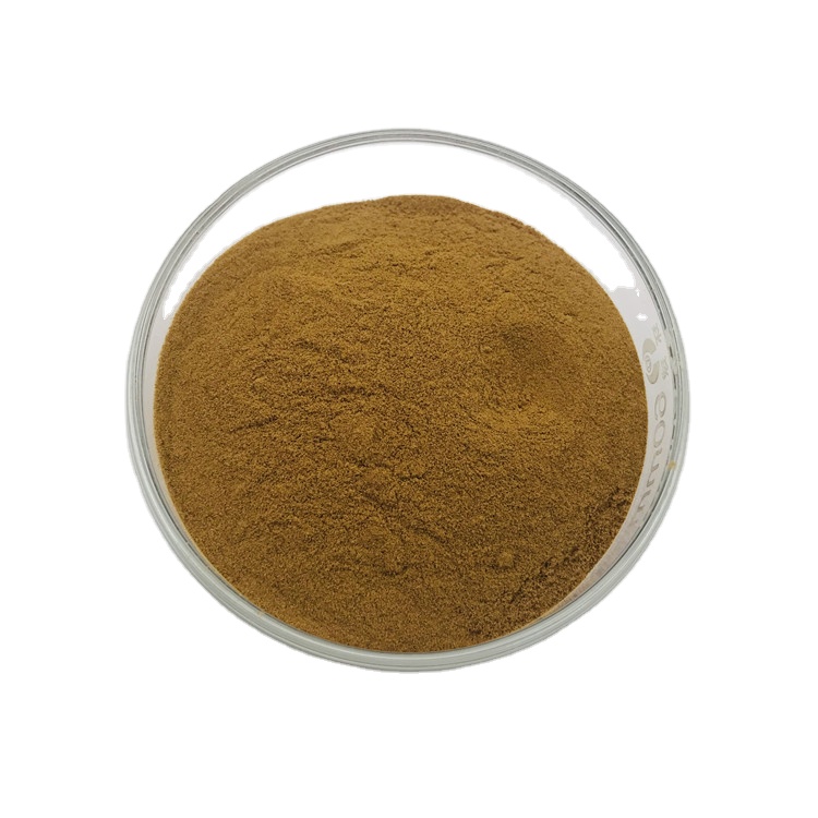 Sich sales Shitake Mushroom Extract in herbal extract