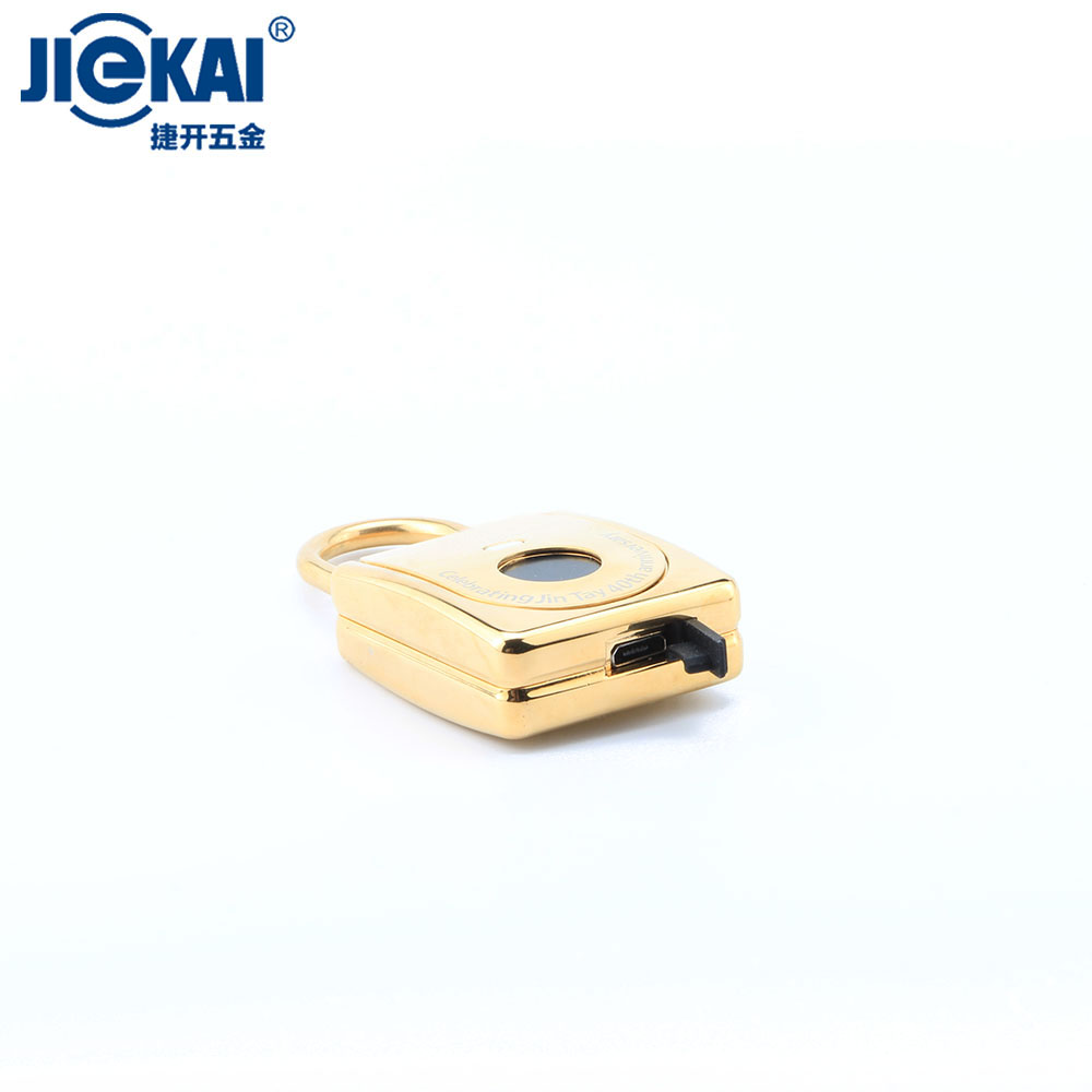 JK2002-33 2020 Лидер продаж Smart дверной замок Keyless электронный сканер отпечатков пальцев блокировка отпечатков пальцев