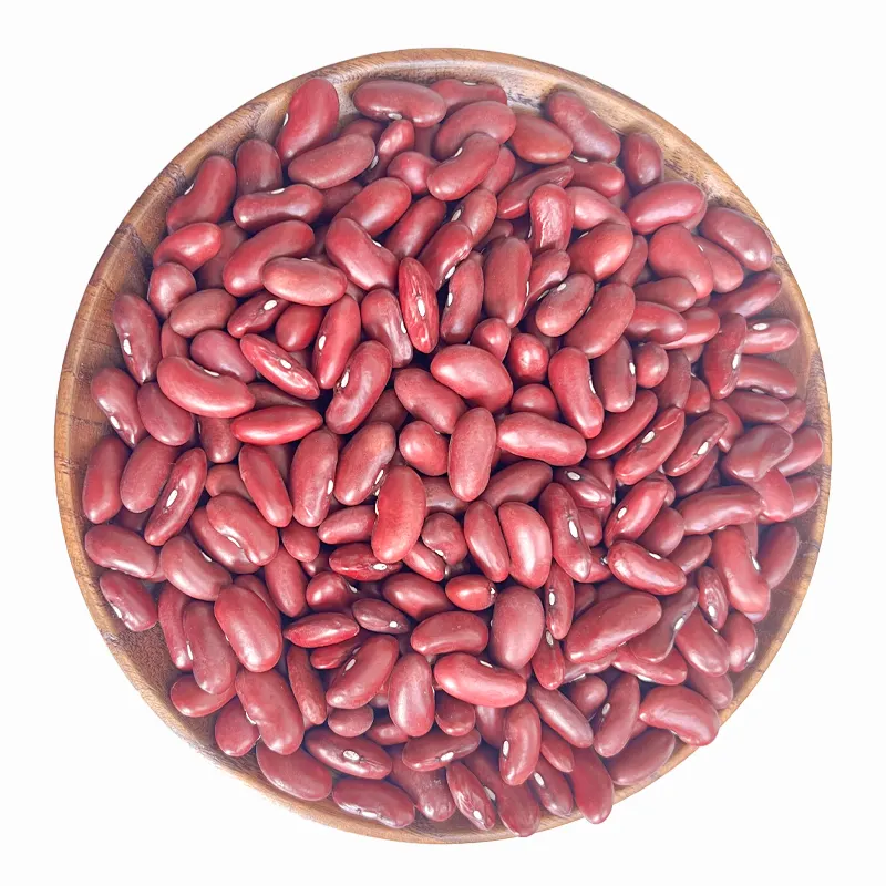 High quality Chinese crop British Red bean/red kidney bean