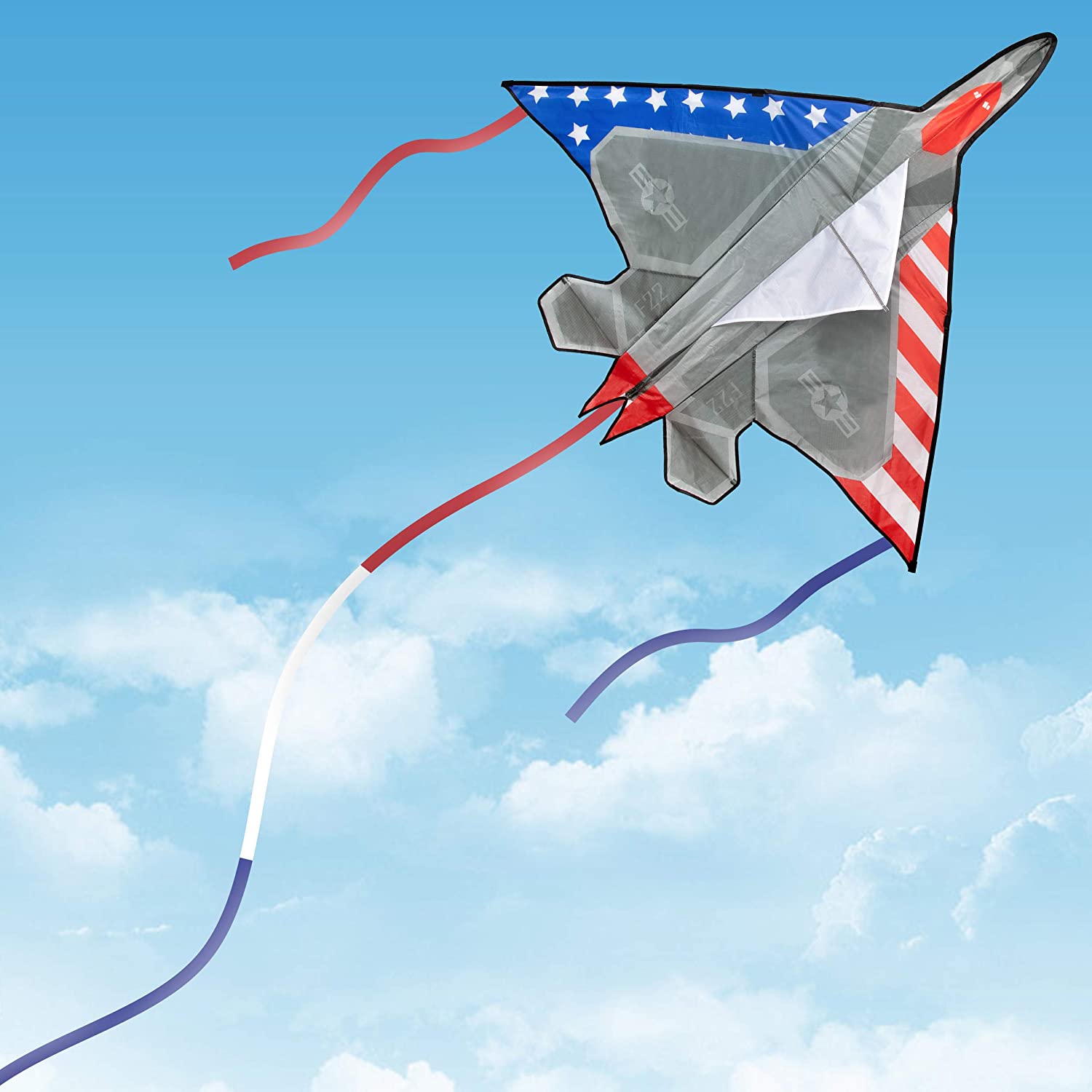 58" Fighter Plane Kite F22 Large Delta Kite with Tail for Boys Kids and Adults Single Line String for Family Outdoor Activity