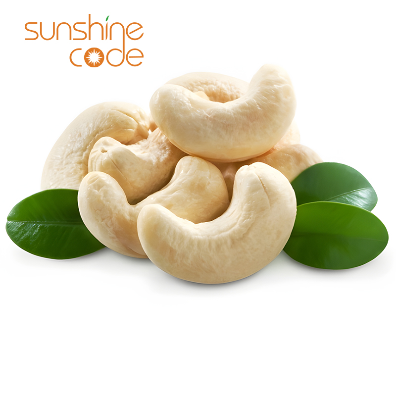 Sunshine Code Raw Material Cashew Nut How Much Price Ww180 From Vietnam Fresh Cashew Kernel Wholesale
