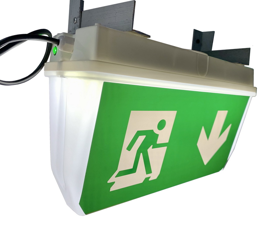 led emergency light rechargeable emergency light emergency 3W3 hours with SAA certification can be customized