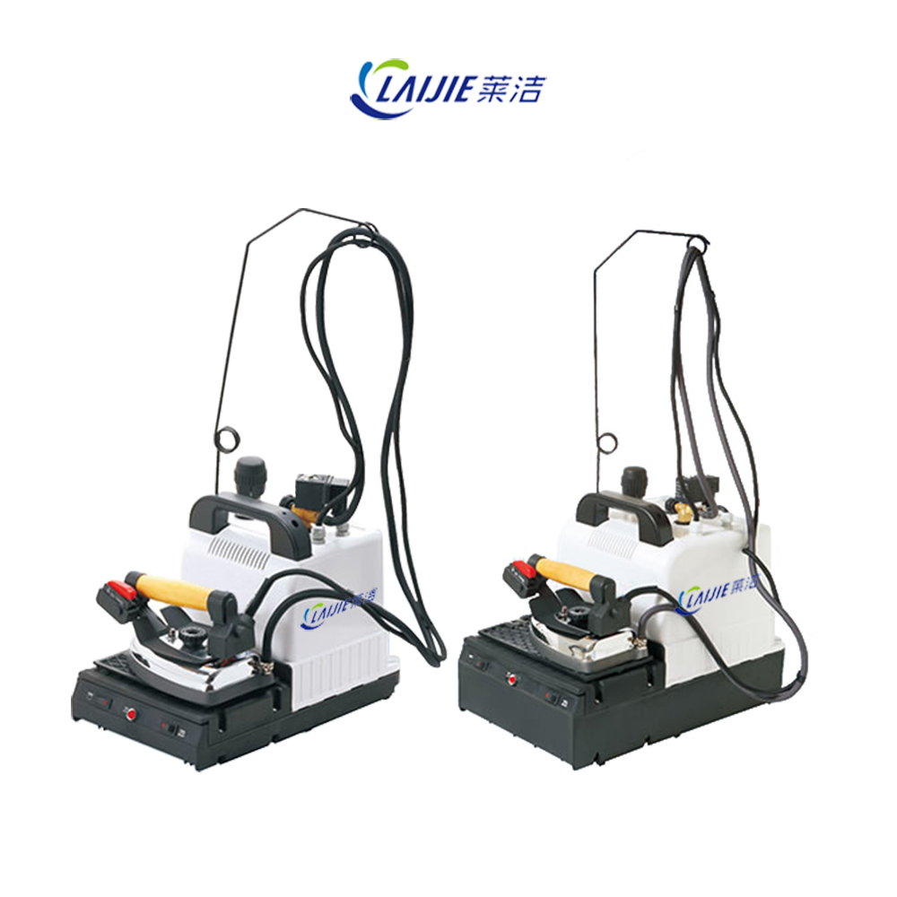 Small Electric steam Boiler With steam Iron