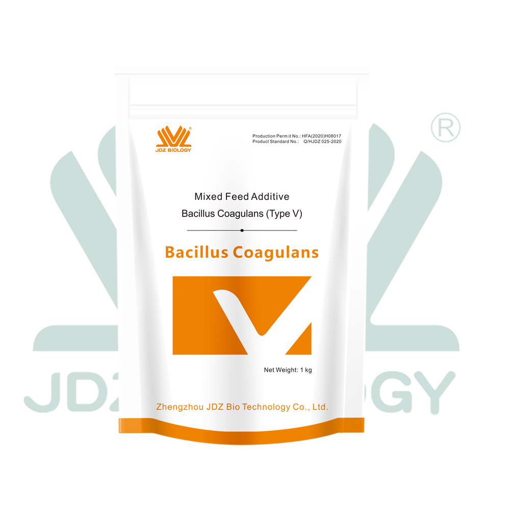 Hot Sale Professional and Durable Long Service Life 100billion Bacillus Spore Bacillus Coagulans Bacteria