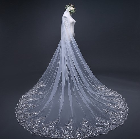 Cathedral Wedding Veils Long Lace Edge Comb Accessories Bridal Veil
