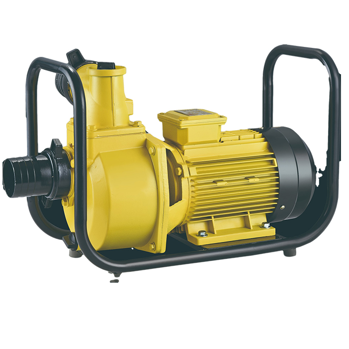 LZSU бесщеточный 1hp в Индии, солнечная энергия, Китай, водяной насос