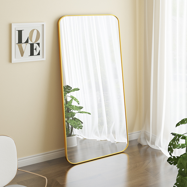 Dressing Room Standing Floor Mirror Rectangular Wall Hanging Door Mirror With Hook
