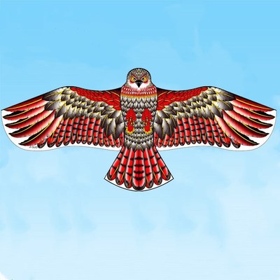 1.2 Flat Eagle Kite Children Flying Bird Kites Windsock Outdoor Toys Garden Cloth Toys For Kids Gift L0025-1