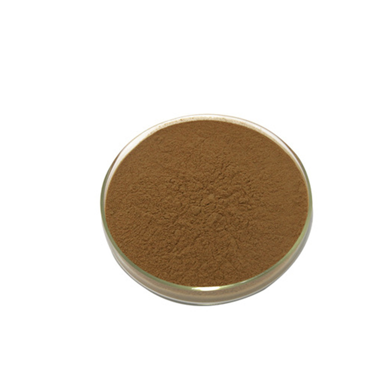 Shiitake Mushroom Extract mushroom complex extract