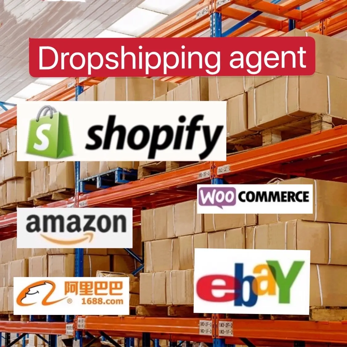Shopify Dropshipping agent Alibab 1688 China shipping agent