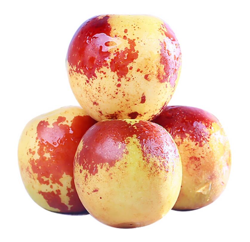 Свежие зимние фрукты jujube высокого качества для продажи