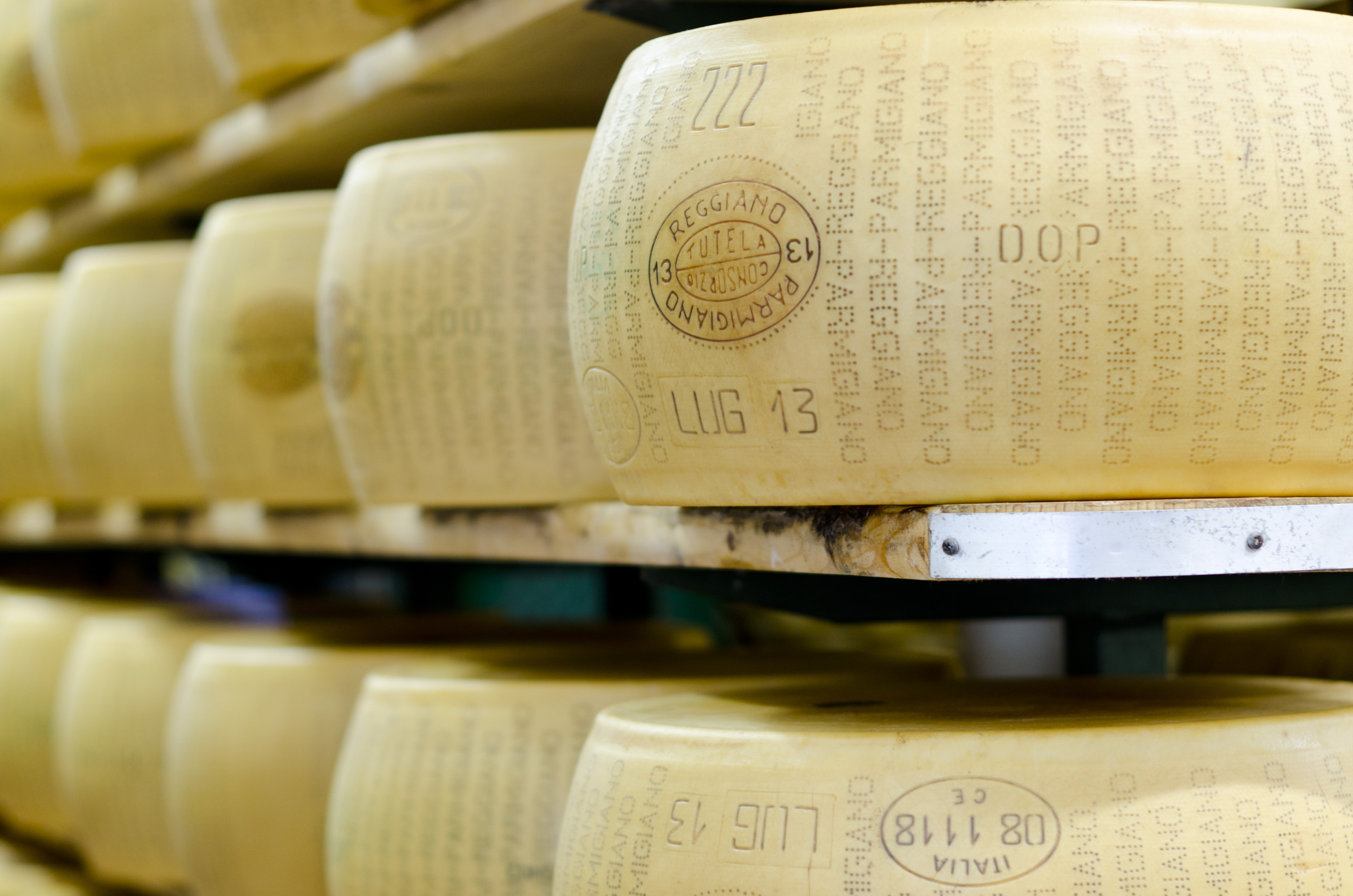 ORGANIC PARMIGIANO REGGIANO WHITE MODENESE COW (Slow Food Presidium) 50 MONTHS 0,5 Kg Pair With Black Truffle Or Anchovies