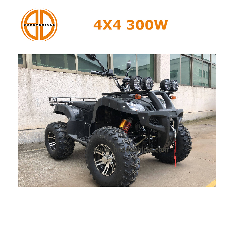 Bode Новый 3000 Вт 4x4 Электрический квадроцикл для взрослых