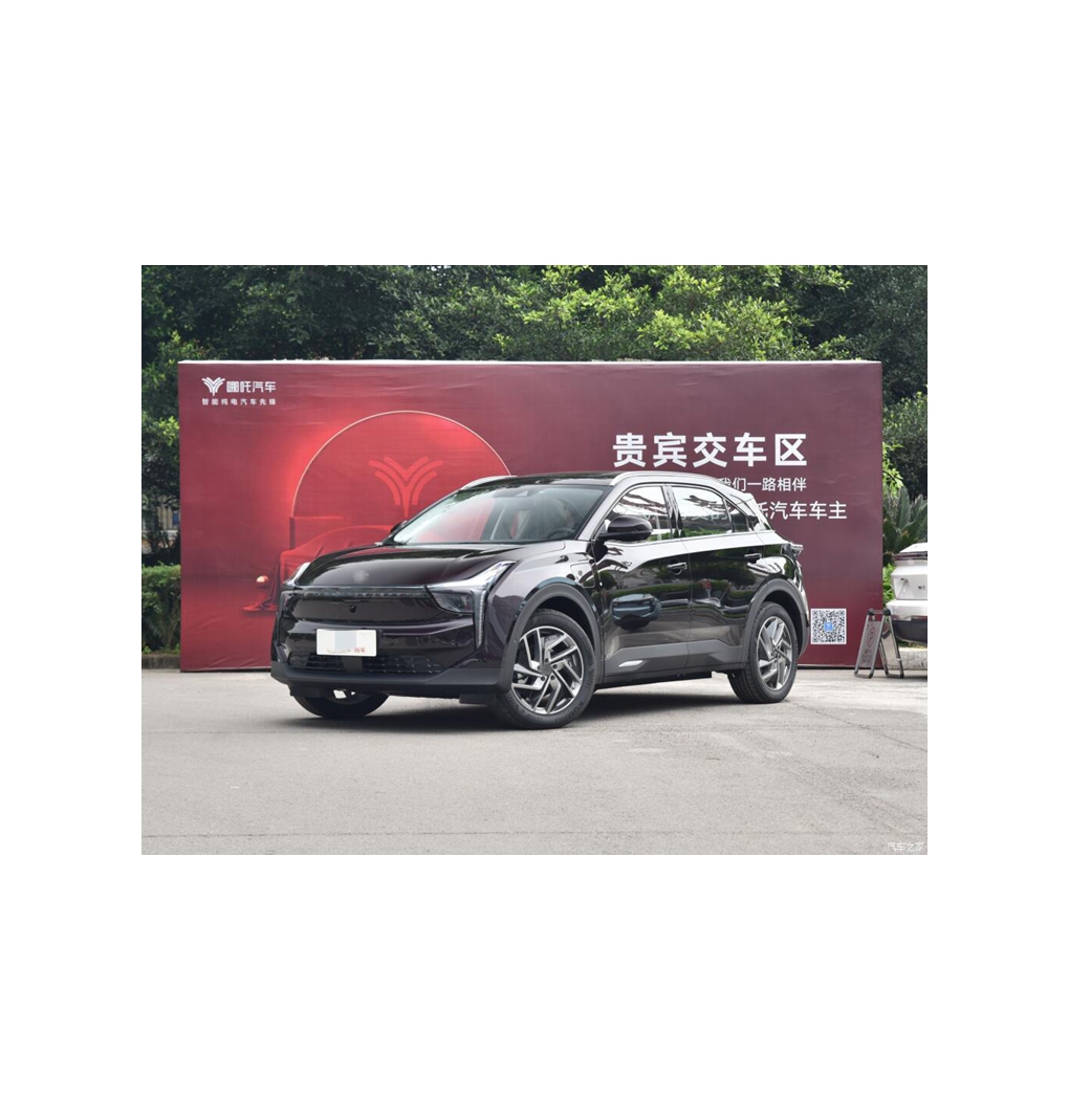 Low price new type popular product new model 5 seater fast electric vehicle four wheel vehicle