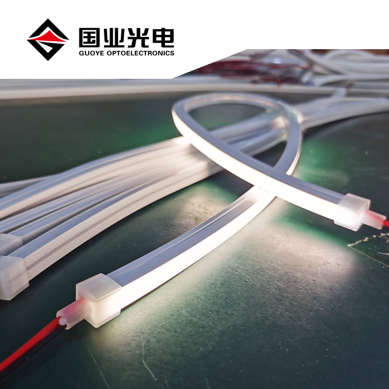10*10mm 12*12mm 20*14mm 12v 24v Pure silicone waterproof top view emitting indoor outdoor neon lights
