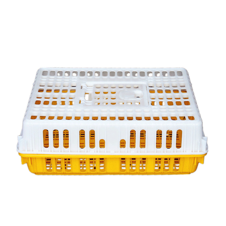 farm chicken poultry transport cage plastic layer box egg layer