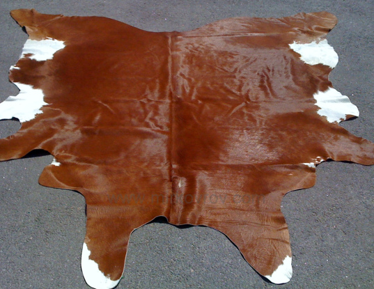 Unprocessed skin of cattle