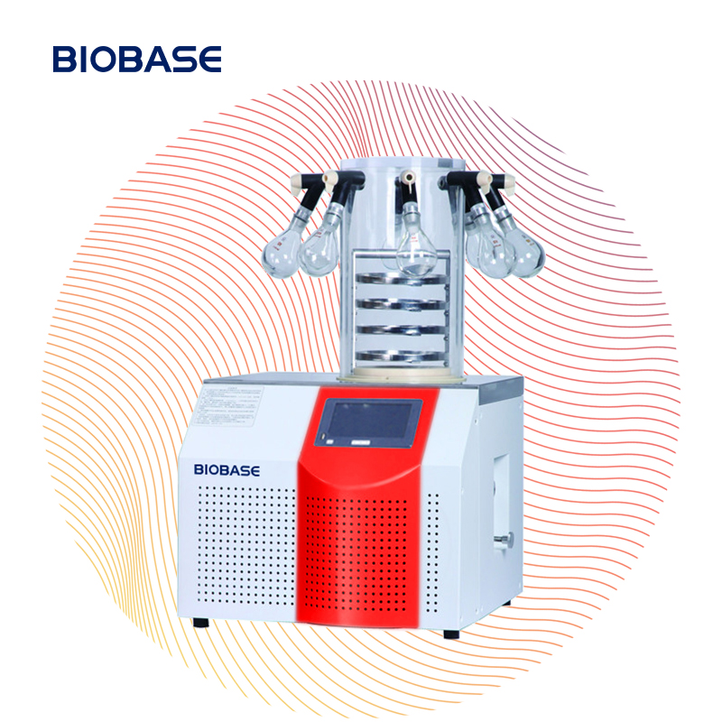 BIOBASE CHINA Factory Direct Home Machine Lyophilizer Tabletop Freeze Dryer For Sale