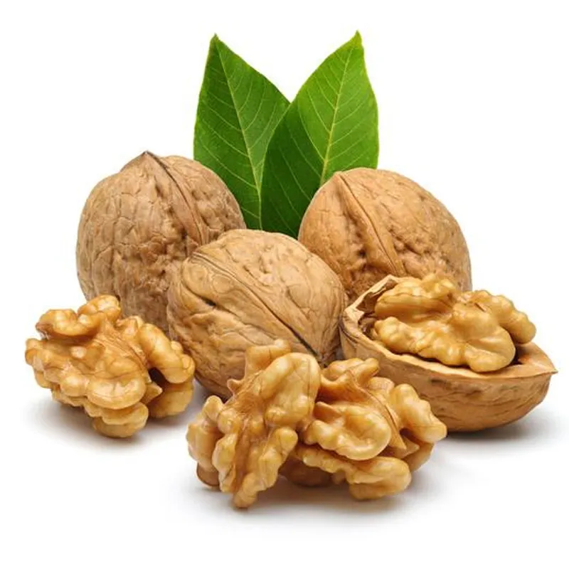 chinese new crop dried walnut price in China