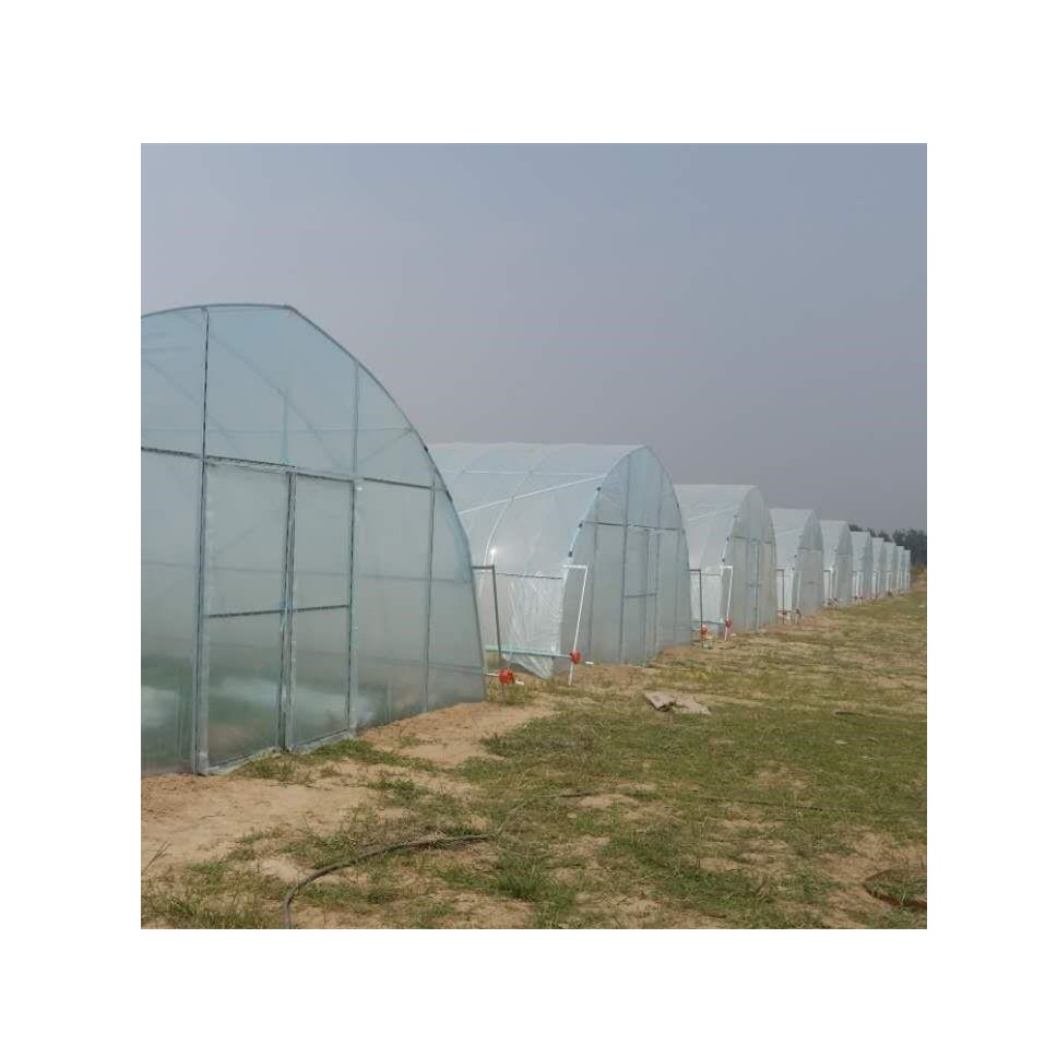 Hot Selling Factory Prices Agricultural Fuma Cheap Agriculture Multi-span Glass Greenhouse Hydroponic Greenhouse