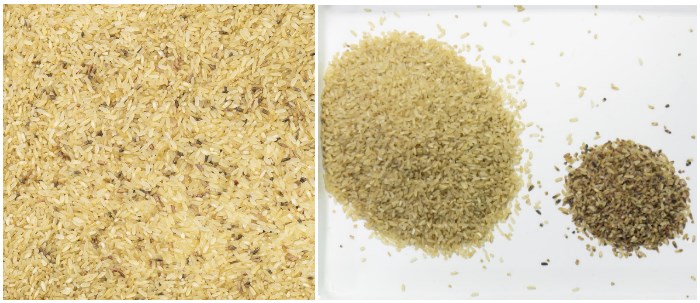 Mini multi-purpose rice grain coffee beans color sorter machine cashew pistachio optical sorting and grading machines