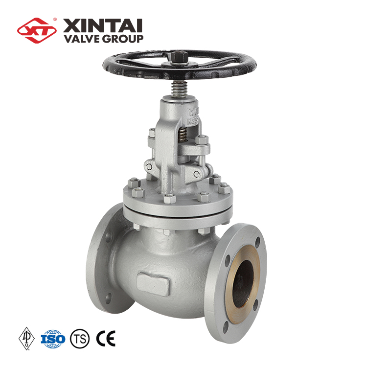 Supplier XINTAI Customized 3in 150LB Durable WCB API Globe Valve for Water
