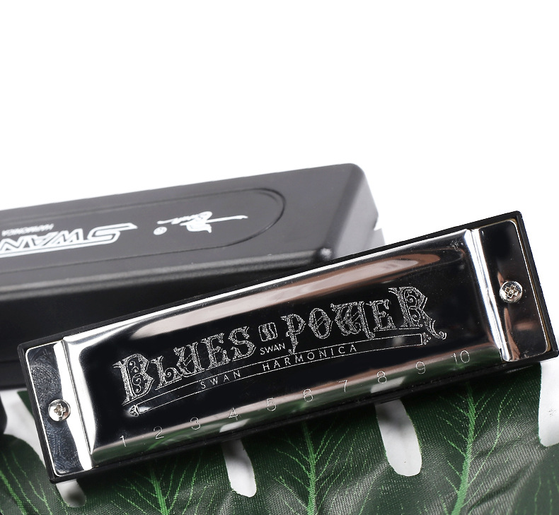 Swan Diatonic Harmonica 10 Holes Blues Harp with Case Silver Big Style