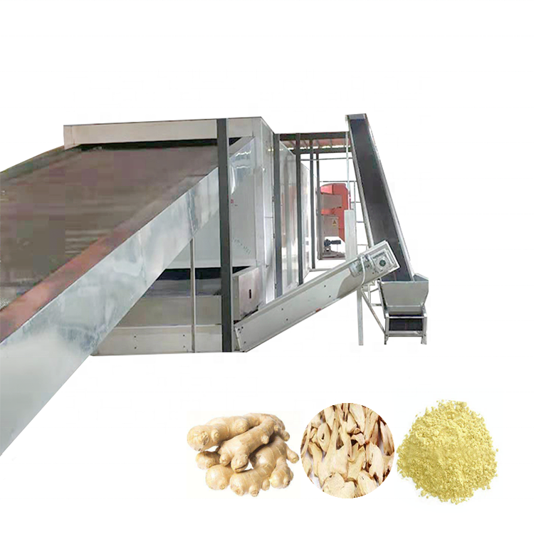 Food Drying Dryer Dried Vegetables Dehydrator Potato Fruits For Fruots Date Dry Fruit Machine