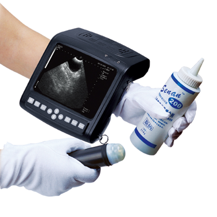 Full digital B mode ultrasonic diagnostic instruments KX5200 VET USE veterinary ultrasound