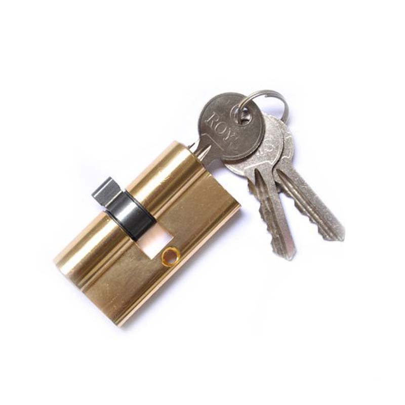 Wholesale High Quality Euro Entrance Door Brass m=Mortise Door Lock Cylinder (CS-004)