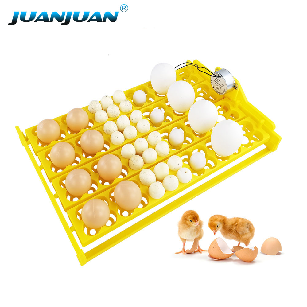 24 egg tray tools goose Duck Bird Poultry hatching Incubator machine Automatically egg incubators