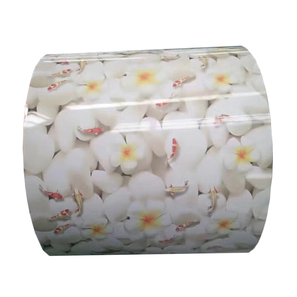 GI/GA/GL/CR/HR/PPGI/PPGL Hot Dipped Color Coated floral designs Galvanized Steel Coil