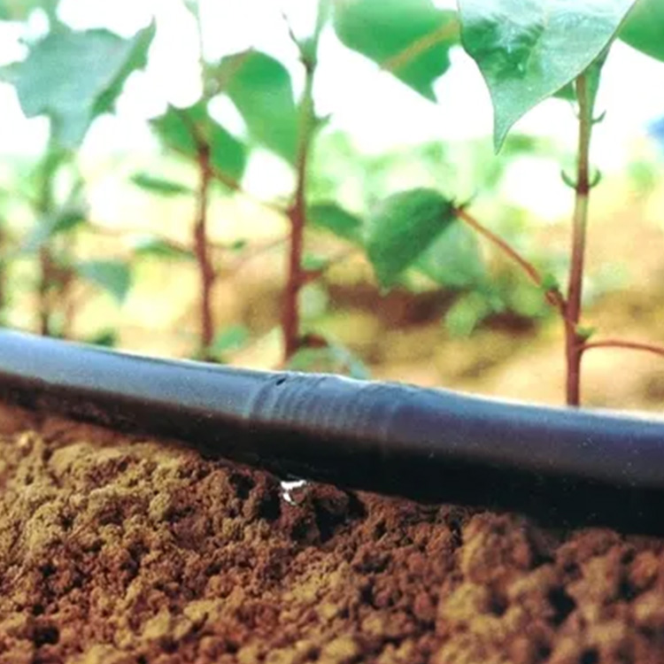 Irrigation Pipe PE Agriculture Drip Irrigation Pipe for Water Supply