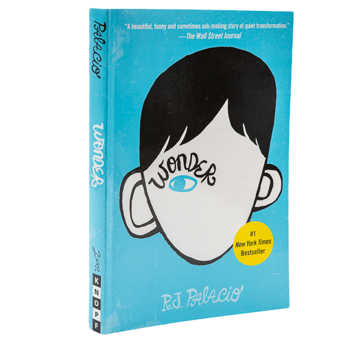 Custom High Quality Professional Softcover Novels Books, Paperback Book Printing