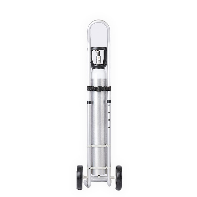 Factory Direct Price Portatble Oxygen Cylinder Trolley Oxygen Tank Cart
